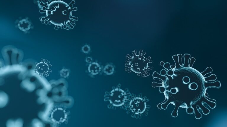 Corona Virus in Telugu,corona virus full details in telugu
