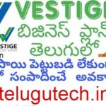 Vestige Meaning in telugu Vestige Business అంటే ఏంటి?