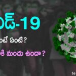 COVID-19 in Telugu