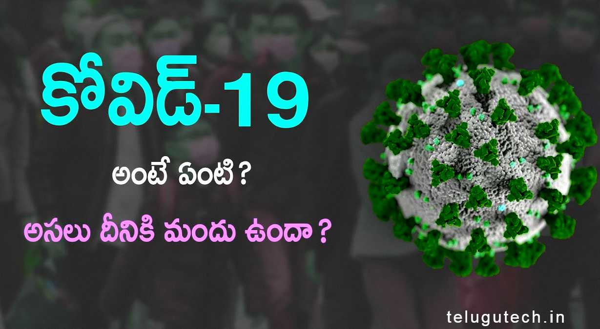 COVID-19 in Telugu