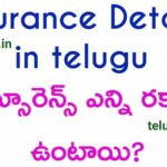 Insurance Details in Telugu