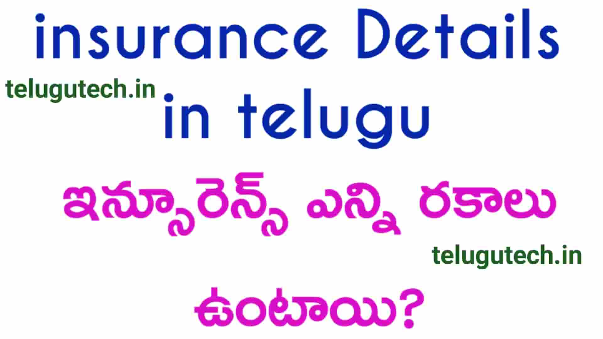 Insurance Details in Telugu